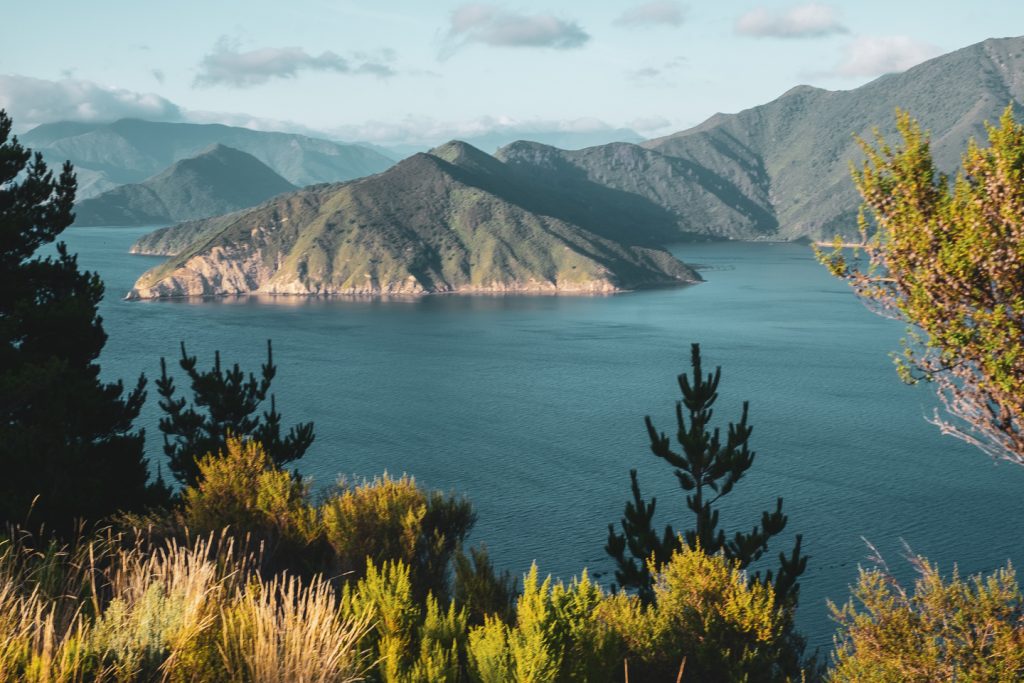 A premium location for honey in new zealand that some vegans are happy to eat