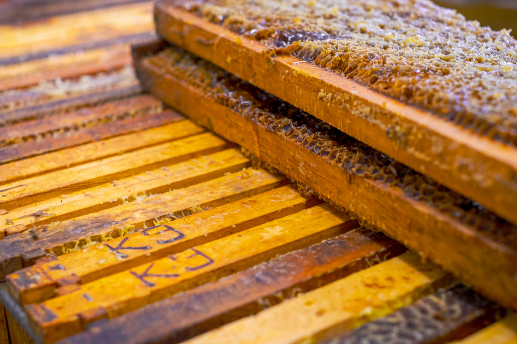 honey frames with honey removed