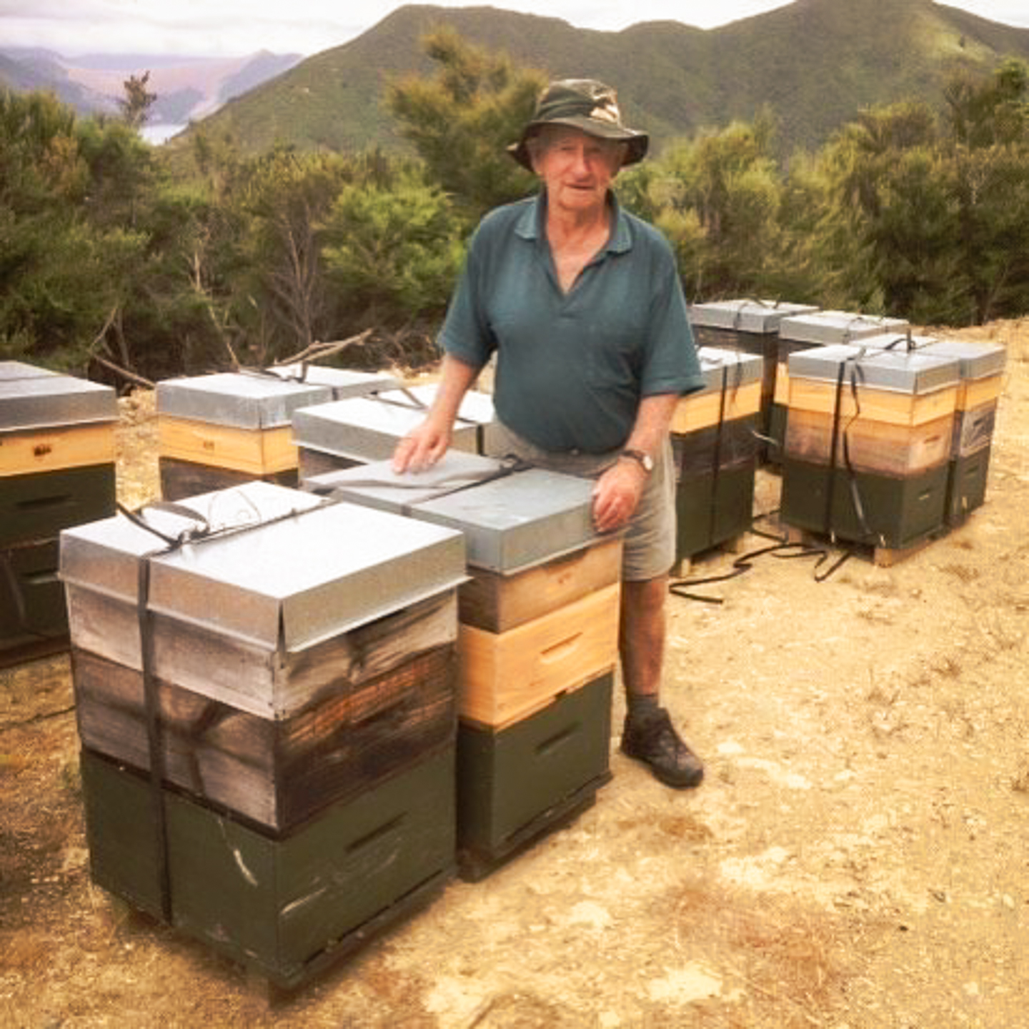 Murray's father, Merv beside hives